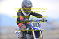 bike-010-2024-0427-IPH_0709