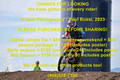 Bike-034-2023-0611-IPH_7612