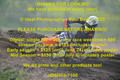 bike-228-2023-0617-IPH_1478