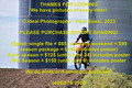 Bike-034-2023-0611-IPH_7608