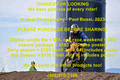Bike-034-2023-0611-IPH_7611
