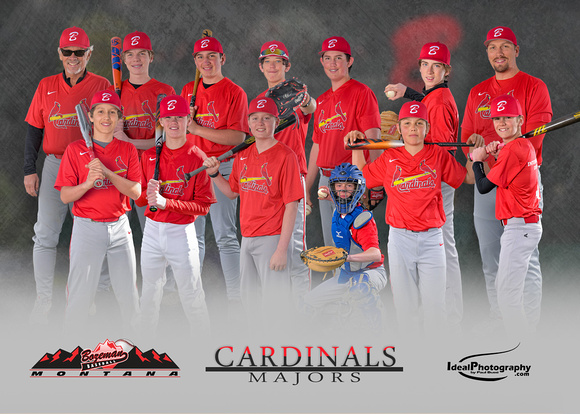 BR-Cardinals-Team-5x7