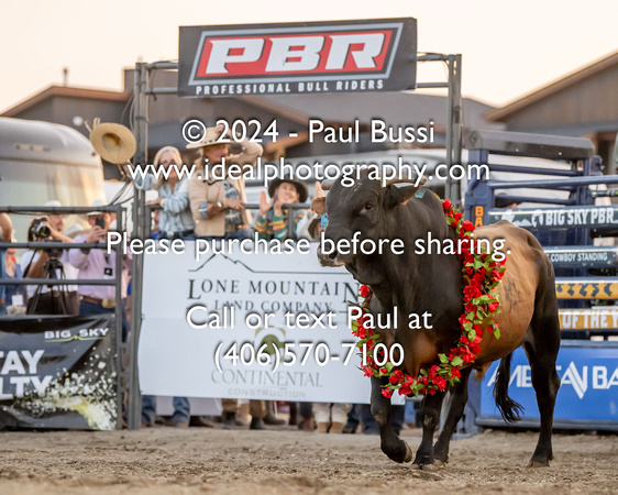 Viper-Bull-Retirement-2024-0720-IPH_4735-Watermarked