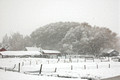 nature-scenic-Christmas Winter Scene[1] copy