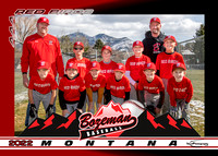 AAA-red-birds-Team-5x7-compressed